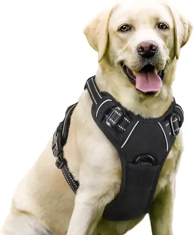 rabbitgoo Dog Harness, No Pull… — Photo 1