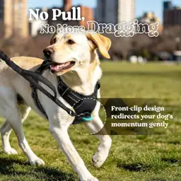 rabbitgoo Dog Harness, No Pull… — Photo 2