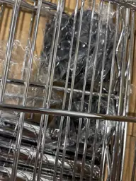 24" Depth Metal Wire Shelving… — Photo 4