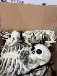 5.4FT Halloween Skeletons, Posable Full-Size… — Photo 4