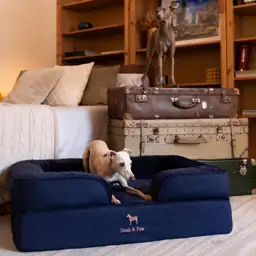 Dog Bed, Orthopedic Memory Cooling… — Photo 2