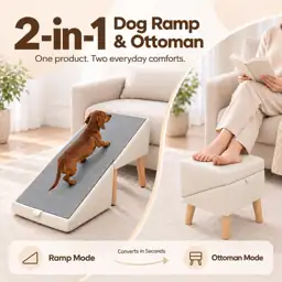 Dog Ramp for Couch and… — Photo 2