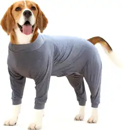 Dog Recovery Suit Postoperative Shirt… — Photo 1