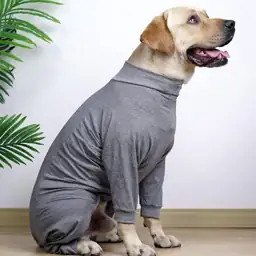 Dog Recovery Suit Postoperative Shirt… — Photo 2