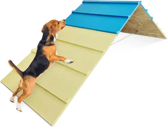 Dog Agility Course for Backyard… — Photo 1