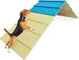 Dog Agility Course for Backyard… — Photo 1