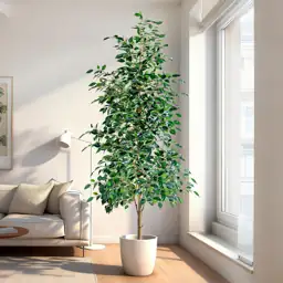 Bailikang 6FT Artificial Ficus Trees… — Photo 1