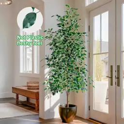 Bailikang 6FT Artificial Ficus Trees… — Photo 2