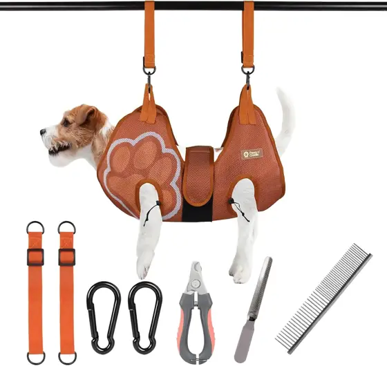 Paws n' Cradle Dog Grooming… — Photo 1