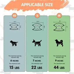 Paws n' Cradle Dog Grooming… — Photo 2