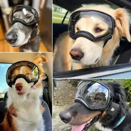 NAMSAN Clear Dog Goggles for… — Photo 2
