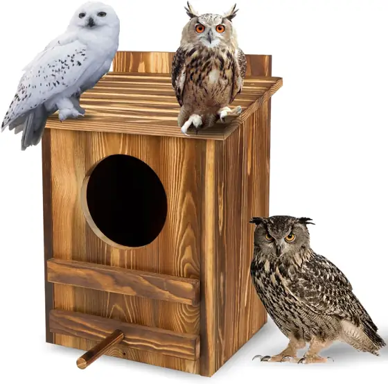 Owl Houses 16.1x11.8x9.5in, Large Carbonized… — Photo 1