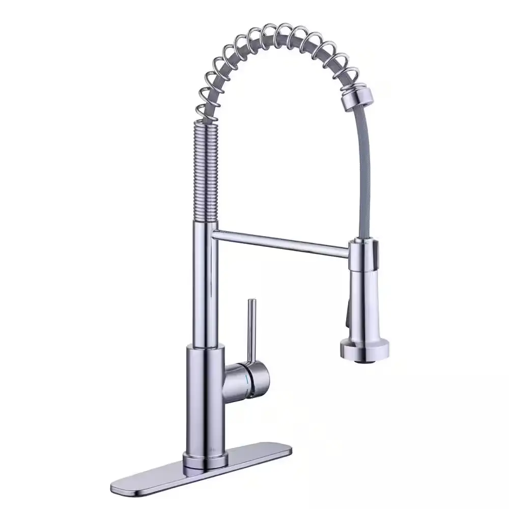 Glacier Bay Paulina Single-Handle Spring… — Photo 1