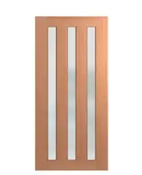 3-Lite Vertical Entry Door — Photo 1
