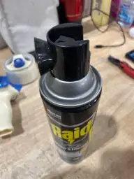Raid Wasp & Hornet Killer… — Photo 3