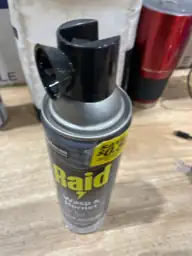 Raid Wasp & Hornet Killer… — Photo 3