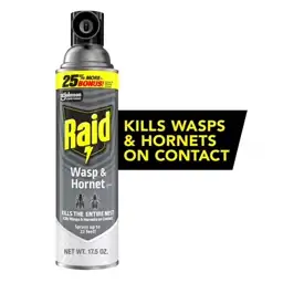 Raid Wasp & Hornet Killer… — Photo 1