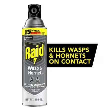 Raid Wasp & Hornet Killer… — Photo 1
