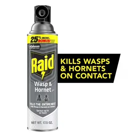 Raid Wasp & Hornet Killer… — Photo 1