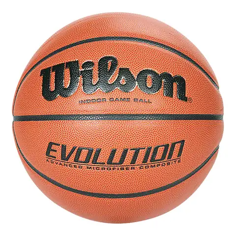 Wilson Evolution Basketball — Photo 1