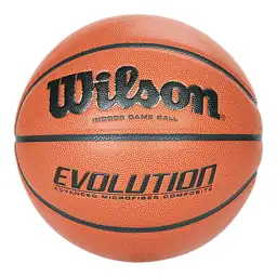 Wilson Evolution Basketball — Photo 1