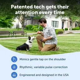 PetSafe Pro Dog Trainer with… — Photo 2
