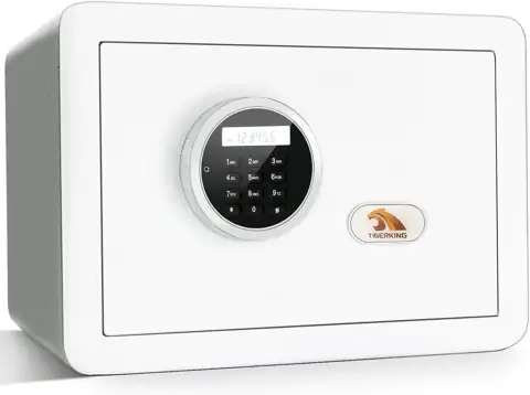 TIGERKING Small Safe for Home… — Photo 1